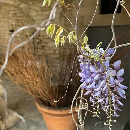 Mas De Champclos * Saint-Privat-de-Champclos