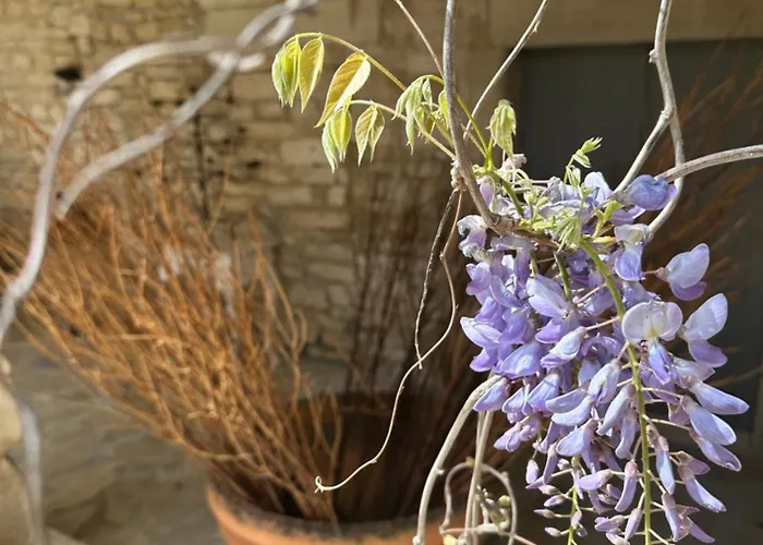 Mas De Champclos * Saint-Privat-de-Champclos